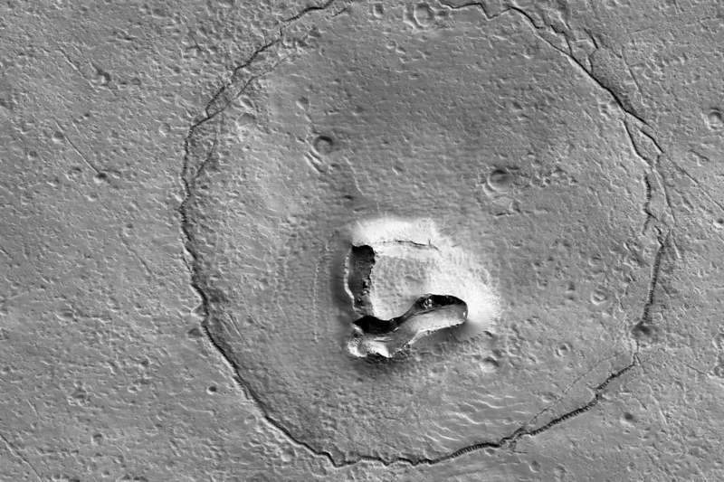 ¡NASA alerta ONU Depués de Haber Descubierto Un Oso Polar Caminando en Marte! – Zasca!